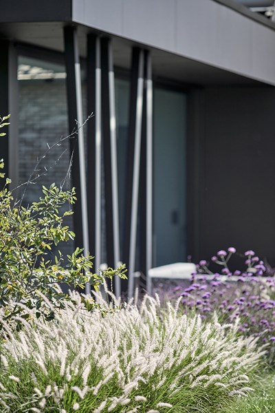 Extension-A-Oleye-08