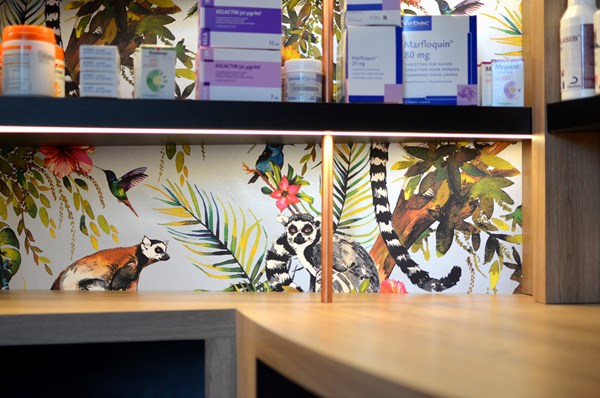 amenagement-interieur-cabinet-veterinaire-lincent-17