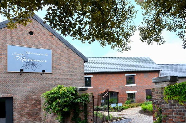 renovation-cabinet-veterinaire-lincent-08