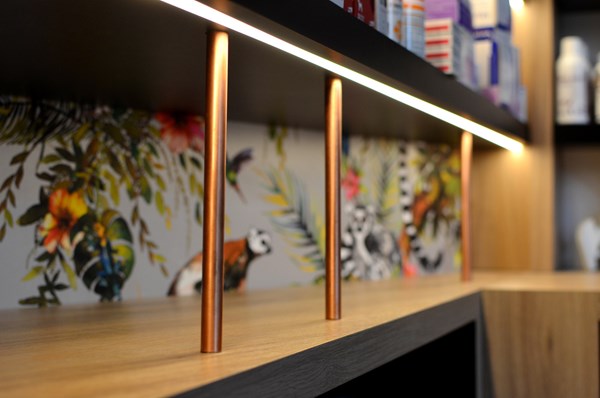 amenagement-interieur-cabinet-veterinaire-lincent-18