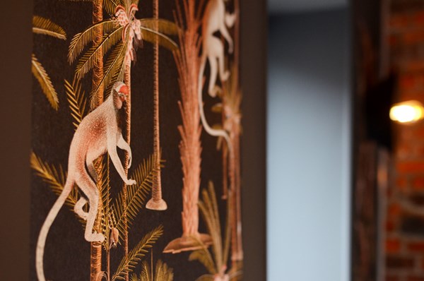 amenagement-interieur-cabinet-veterinaire-lincent-11