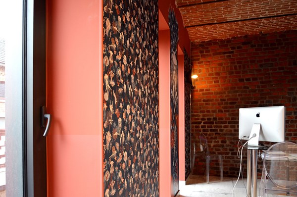 amenagement-interieur-cabinet-veterinaire-lincent-09