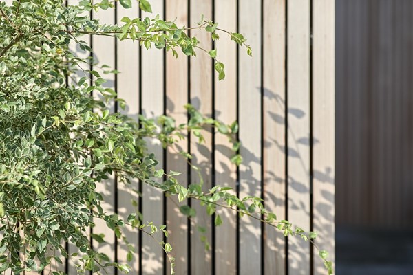 Extension-W-Jambes_051